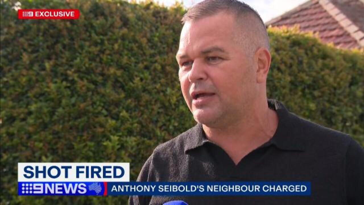 Shot fired at Seibold house an 'accident