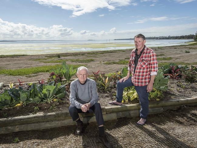 Residents are not planning to remove the garden. Picture: Troy Snook