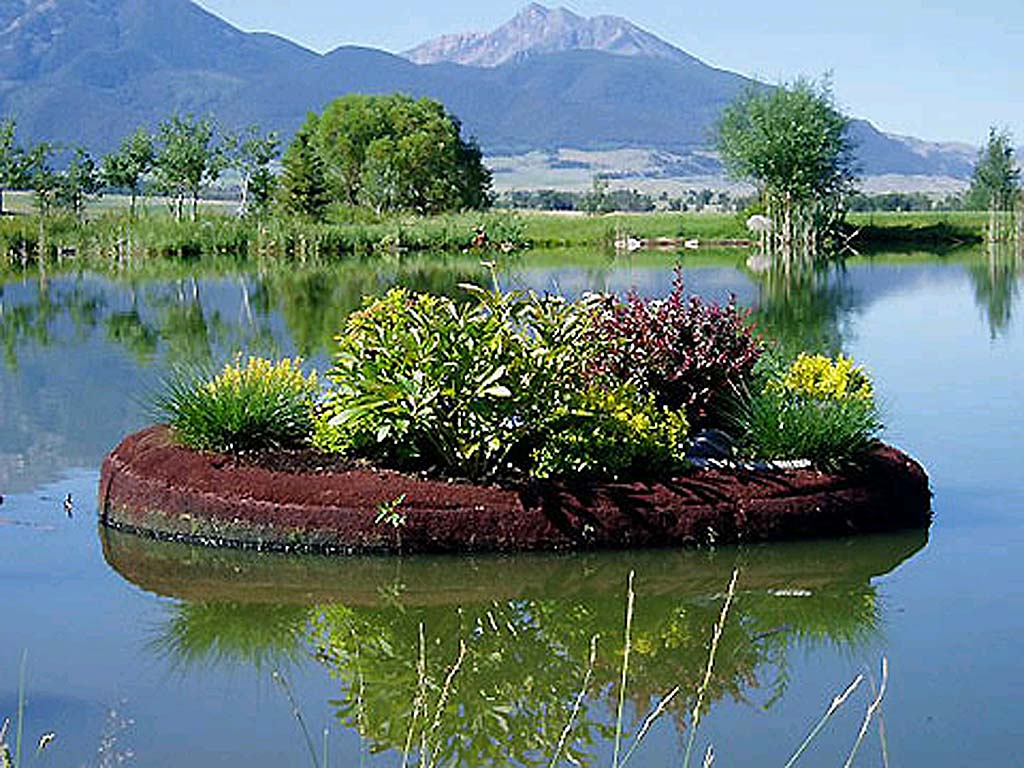 Floating Island International is a company that makes ‘bio islands‘, floating islands made from recycled plastic on which little ecosystems for vegetation and microbes flourish, pulling pollutants out of the water below, thereby improving the water quality of contaminated areas. Picture: Lost at E Minor