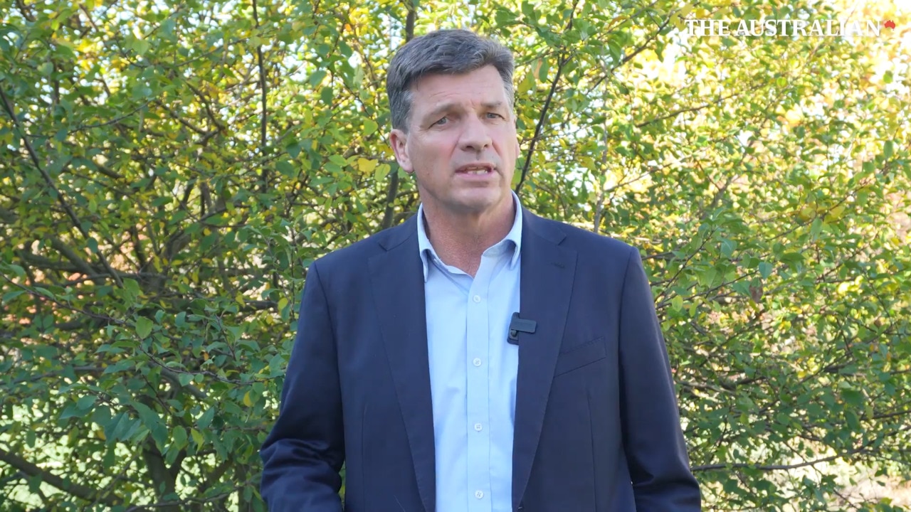 Angus Taylor declares push for Liberal leadership