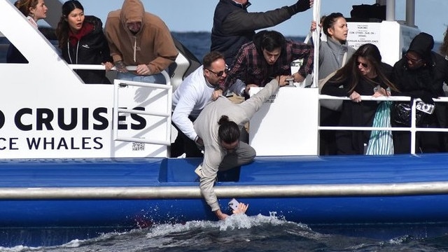 Tourist falls from whale watching boat off Gold Coast. Picture: 9News