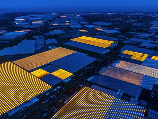 Flying over the Westland in the Netherlands, the most advanced area in the world for agro farming technology. Furrows of artificial light lend an otherworldly aura to the greenhouse. Climate-controlled farms such as these grow crops around the clock and in every kind of weather. Picture: Luca Locatelli for National Geographic/World Press Photo