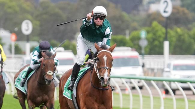 James McDonald is gearing up for a bumper spring aboard mighty mare Via Sistina Picture: Getty Images