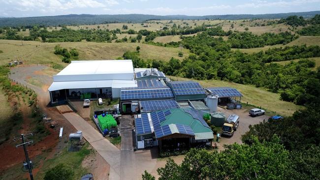 Mungalli Creek Bio-Dynamic Dairy added a new processing plant to the Atherton Tablelands business last year. PICTURE: STEWART MCLEAN