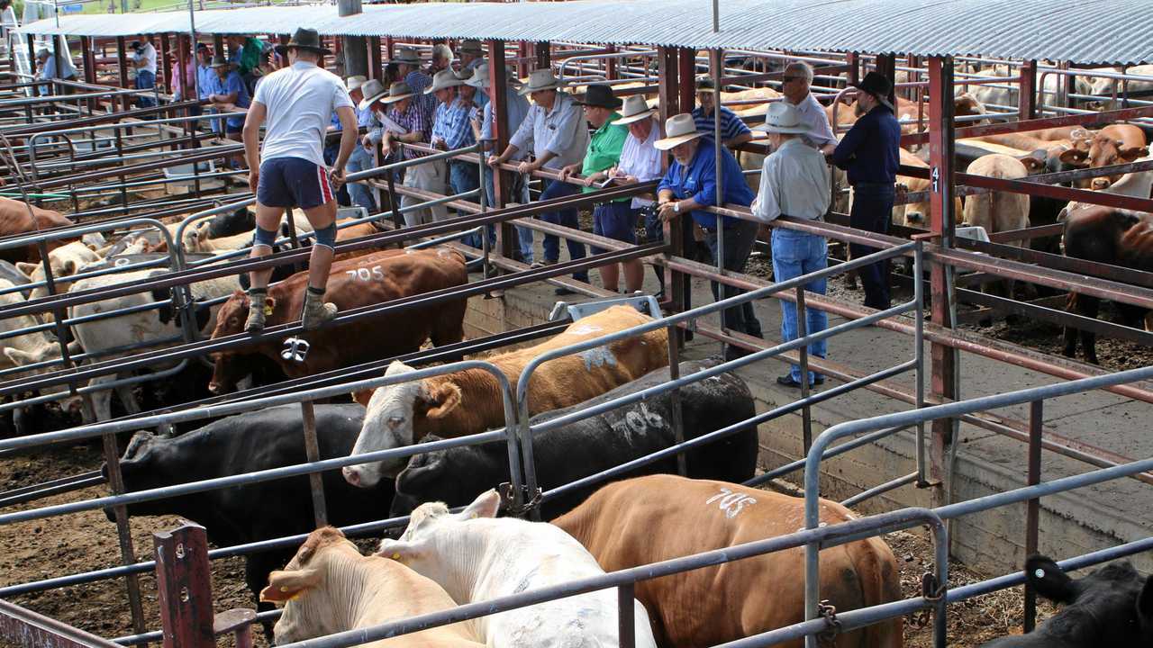 Cattle Market Drives Property Boom 