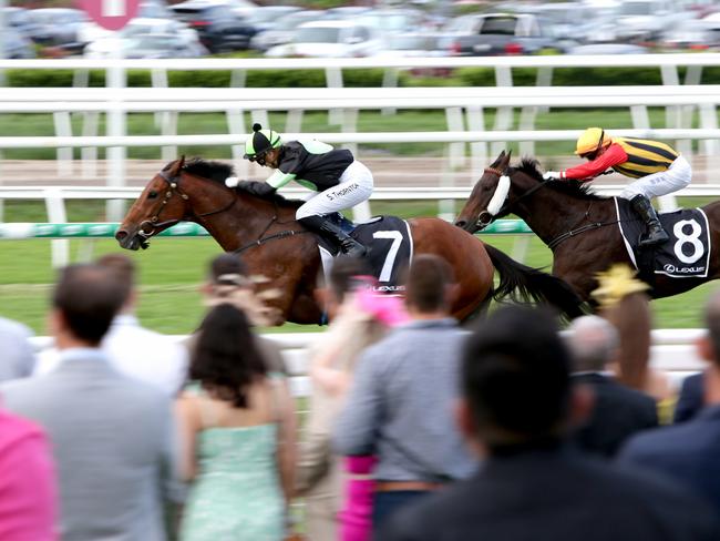 Melbourne Cup day at Brisbane Spring Racing Carnival, Eagle Farm, Tuesday 2nd November 2021 - Photo Steve Pohlner