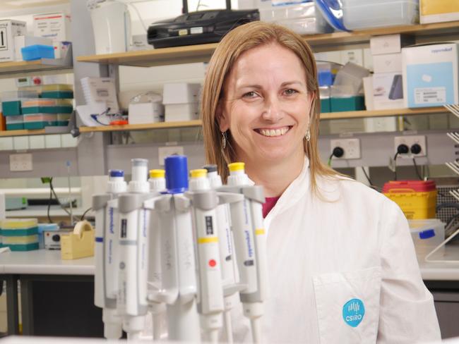 CSIRO future protein mission lead, professor Michelle Colgrave says we need to be more adventurous about what we eat.