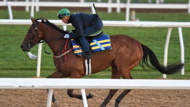 Bonneval works at Flemington racecourse last October. Picture: Getty Images