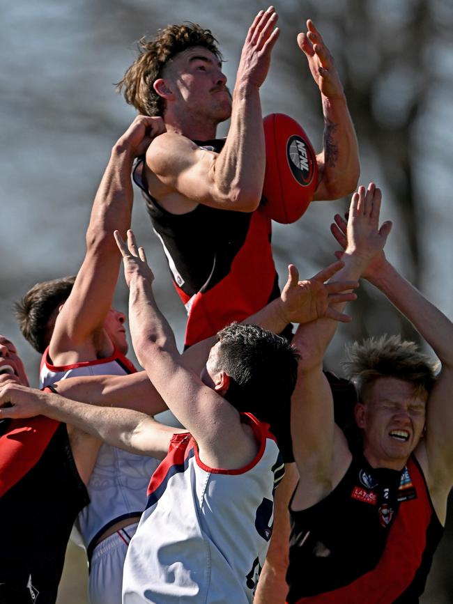 Finnbar Maley flies high for Eltham. Picture: Andy Brownbill