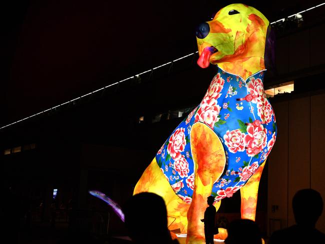 A giant 8m Lunar Lantern dog to celebrate the Chinese New Year in Sydney last year. Picture: Joel Carrett/AAP