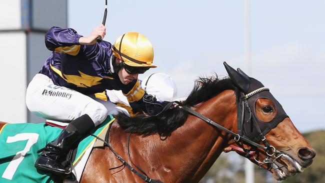 Vengeur Masque ridden by Patrick Moloney wins the Geelong Cup in 2017. Picture: Michael Dodge