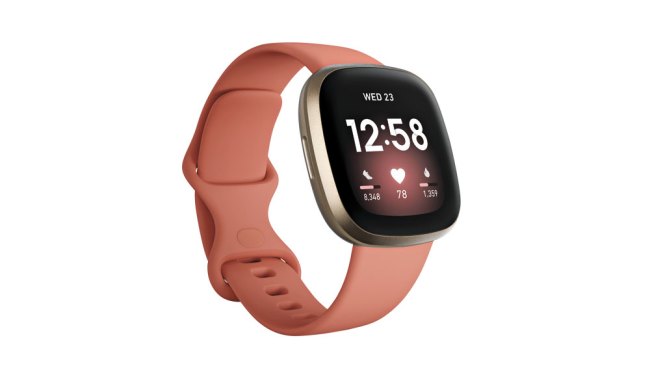 Fitbit versa the good sales guys