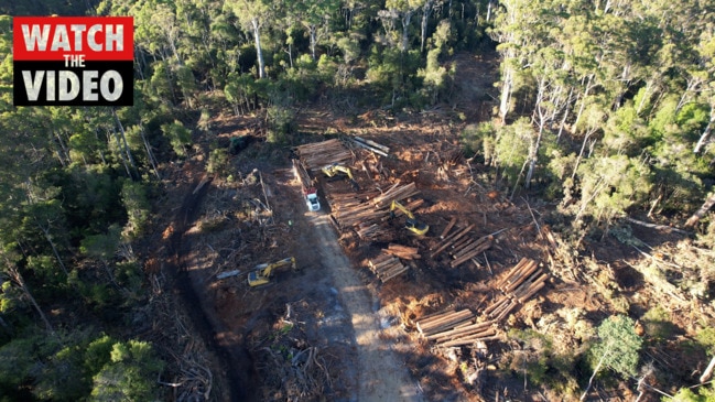 Logging at coupe CC119A at Derby