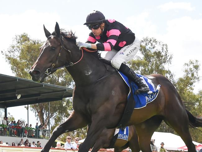 Fire Of Etna ridden by Billy Egan wins the Prince Of Wales Seymour 0-64 Handicap at Seymour Racecourse on December 21, 2023 in Seymour, Australia. (Photo by Pat Scala/Racing Photos via Getty Images)