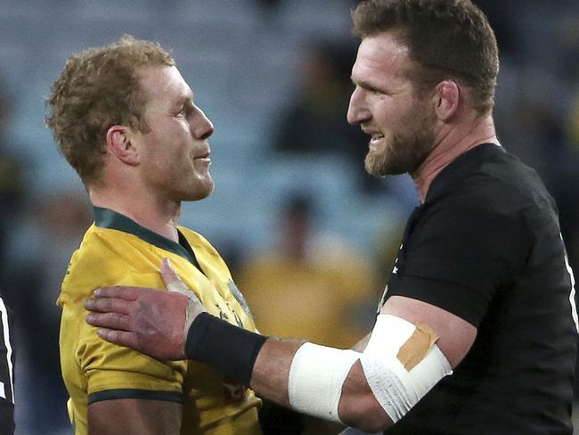 David Pocock praised for top sportsmanship: Wallabies vs All Blacks ...