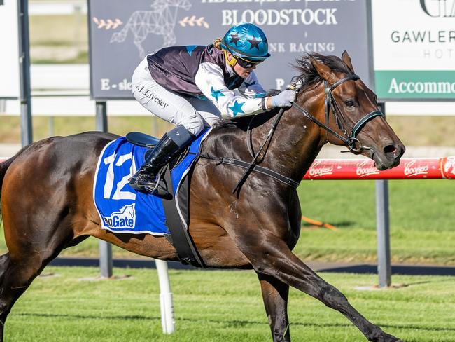 Alana Livesey pilots Billie Bronx to victory at Gawler last start. Picture: Makoto Kaneko