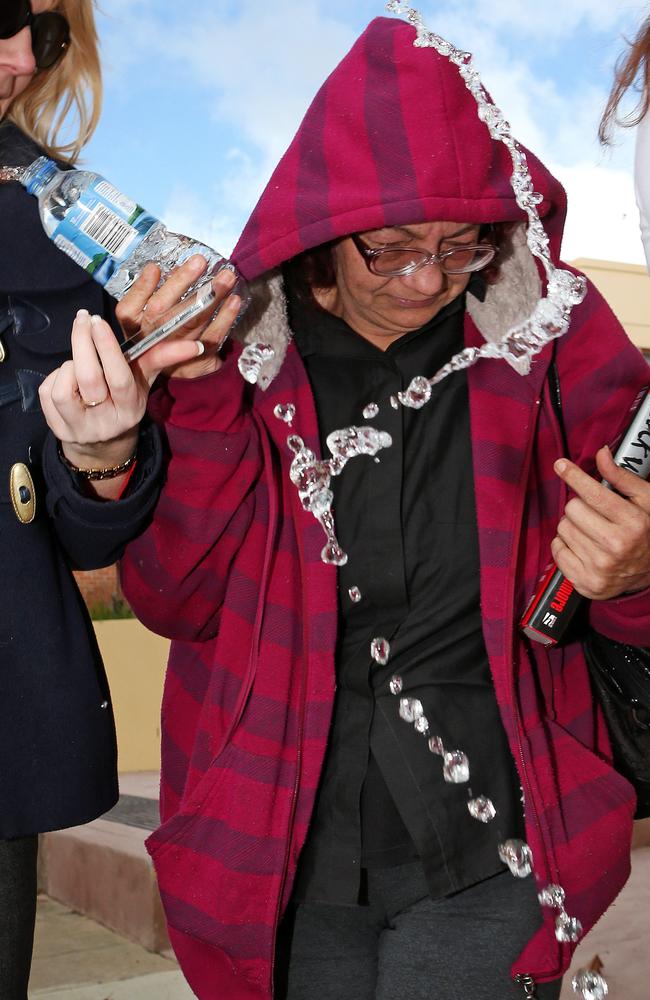 Ms Martyn gives reporters a spray outside court. Picture: Mark Stewart