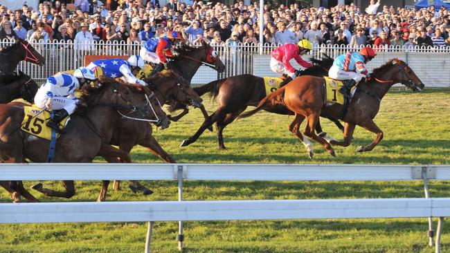 Locally owned Legendary Man steers clear of the field to win the 2009 Coffs Harbour Gold Cup. Picture: TREVOR VEALE