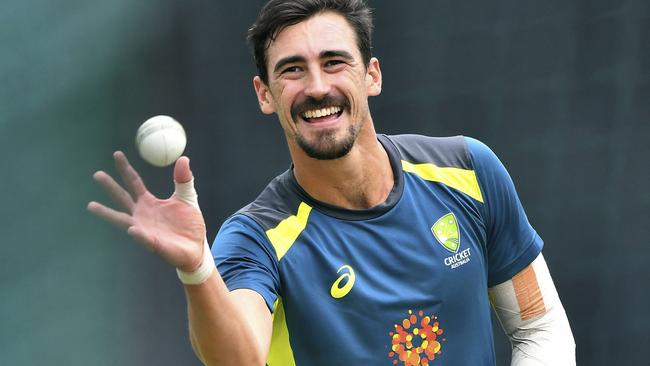 No one has taken more wickets at a single World Cup than Mitch Starc has at this edition.