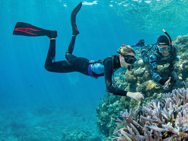 Katie Chartrand of JCU TropWater and Prof. Peter Harrison Southern Cross University collecting coral samples.. 2019 Coral Larvae Restoration Project - coral spawning science in the Great Barrier Reef - lead scientist Dr. Peter Harrison Southern Cross University and secondary scientist Dr. Katie Chartrand James Cook University.  Source: Great Barrier Reef Foundation and Southern Cross University