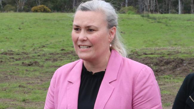 Shadow Health Minister Anita Dow said news the hospital’s workforce was at ‘breaking point’ was ‘heartbreaking.’
