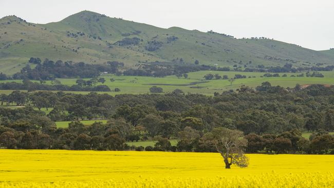 Farmland values are under the microscope this spring. Picture: Zoe Phillips