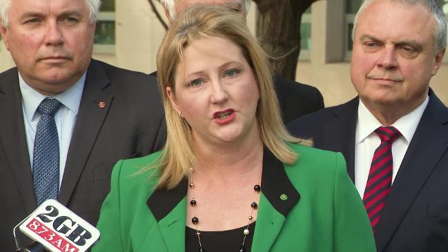 Rebekha Sharkie resigns in wake of High Court ruling