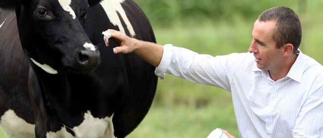 MooGoo founder Craig Jones named the company after the cream used by farmers to heal the udders of dairy cows.