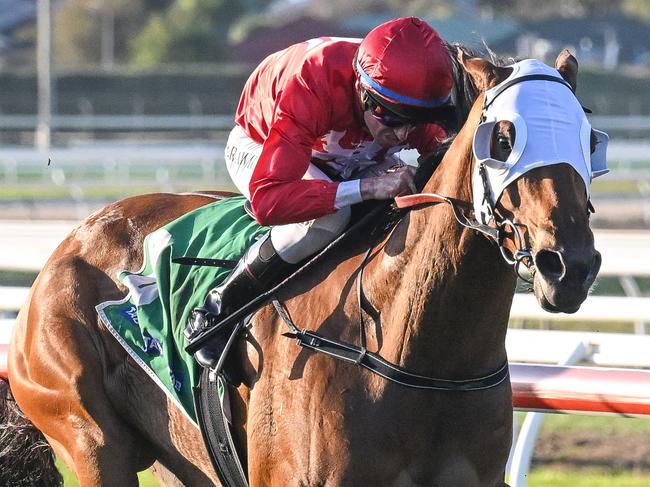 Gronkowski will shoot for a Warrnambool May Carnival win for the second year in a row on Tuesday. Picture: Racing Photos via Getty Images.