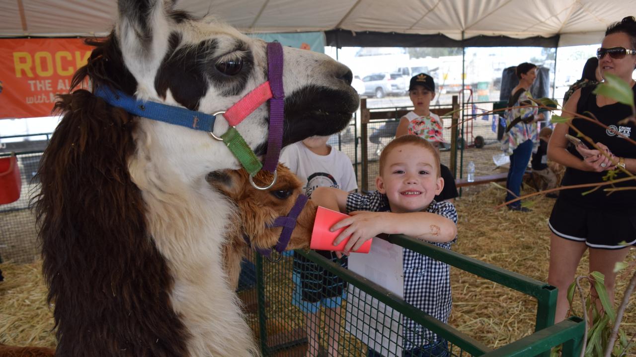 Community attends 2021 Emerald show The Courier Mail