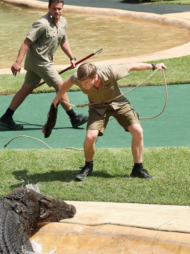 In his element, feeding a crocodile at Australia Zoo. Picture: Supplied