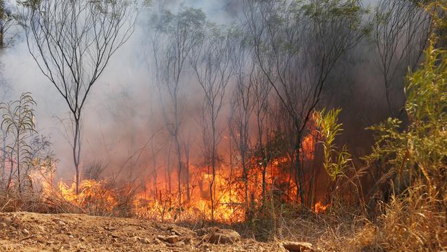 A Prepare to Leave warning has been issued for parts of the Mareeba Shire, less than a week after a fire ‘strike team’ was launched in the Far North. Photo: File