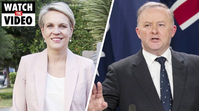 Is Tanya Plibersek set to replace Anthony Albanese?