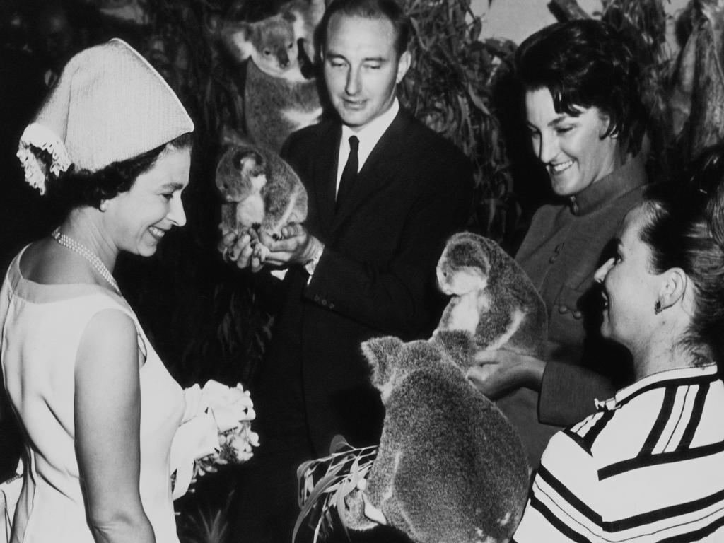 Queen Elizabeth met the locals – and koalas – in Brisbane in 1970. Picture: Getty Images