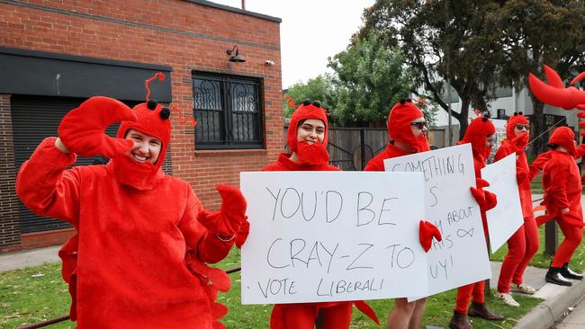 Protesters outside the Real Solutions Rally. Picture NCA NewsWire / Ian Currie