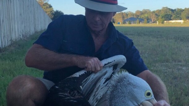  Rowley Goonan of Wild Bird Rescues Gold Coast has rescued hundreds of wild animals. PICTURE: Wild Bird Rescues Gold Coast