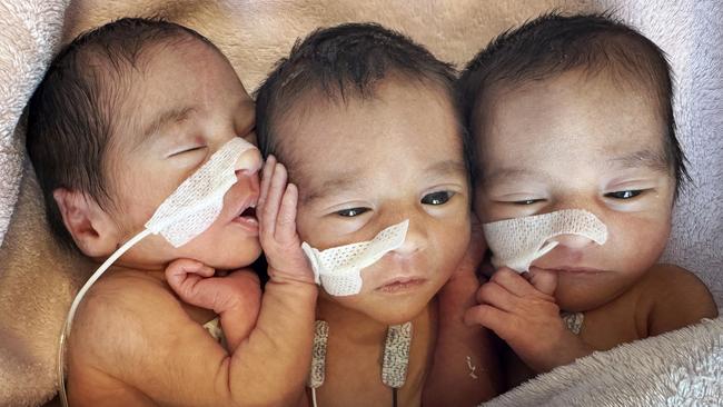 Identical triplets Niara, Aurora and Moana born to Keely Walsh and Mathew Alves on January 2nd at 32 weeks. Picture: Nikki Davis-Jones