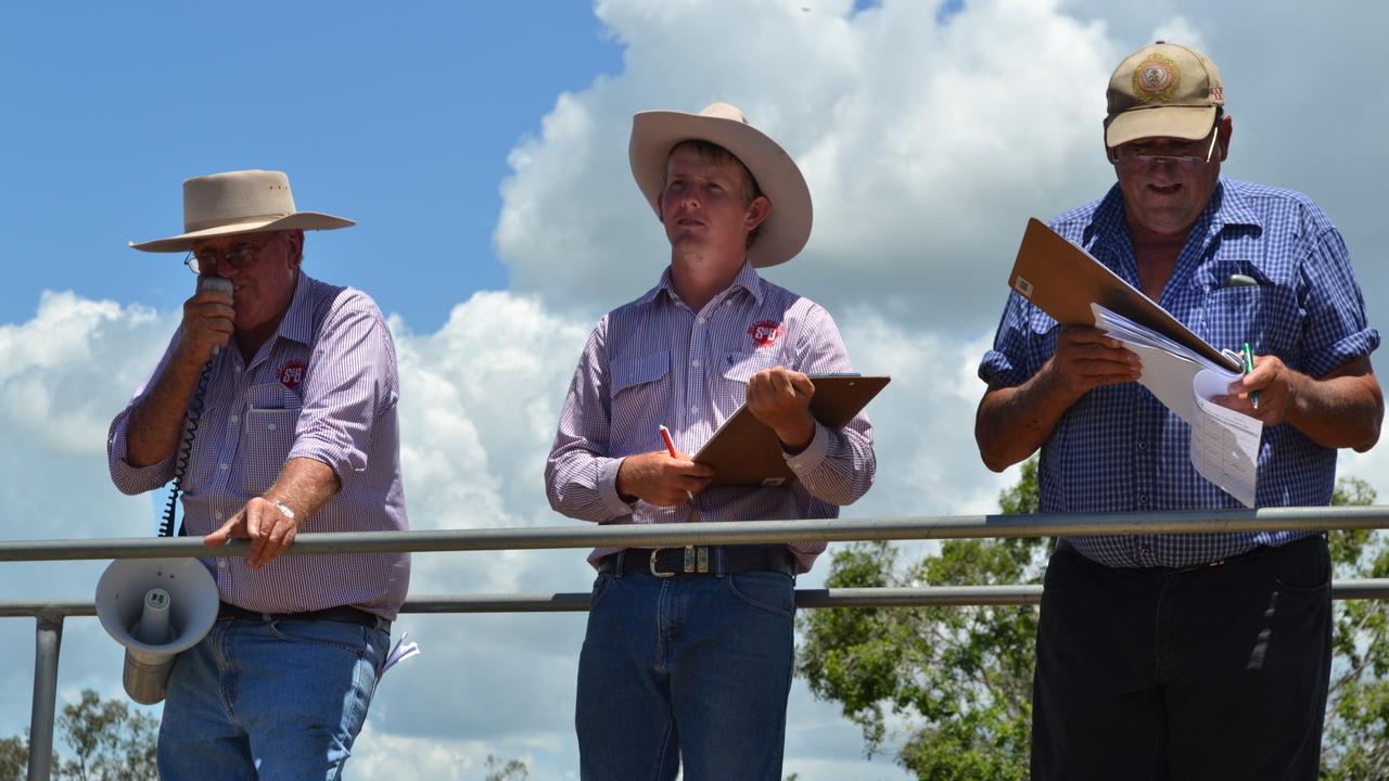 Auctioneer Vince O'Brien knocks down another pen of cattle at the Toogoolawah Store Sale Photo Gary Worrall / Gatton Star