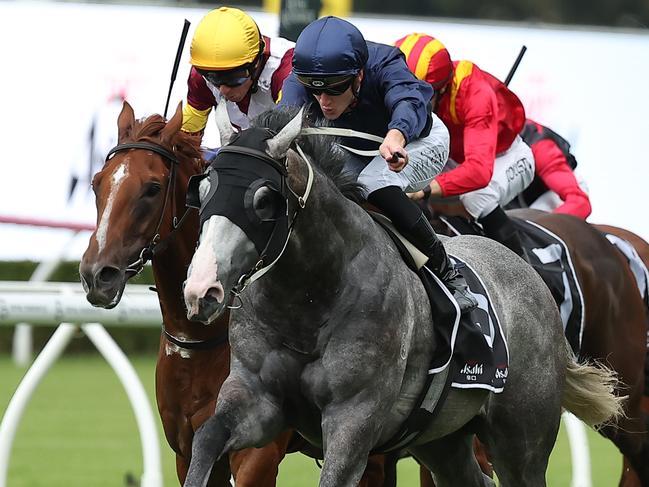 SYDNEY, AUSTRALIA - FEBRUARY 08: Chad Schofield riding Public Attention win Race 8 Asahi Super Dry Eskimo Prince Stakes during "Inglis Millennium Day" - Sydney Racing at Royal Randwick Racecourse on February 08, 2025 in Sydney, Australia. (Photo by Jeremy Ng/Getty Images)