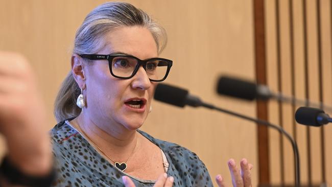 Hollie Hughes, the Coalition’s new assistant NDIS spokeswoman. Picture: NCA NewsWire / Martin Ollman