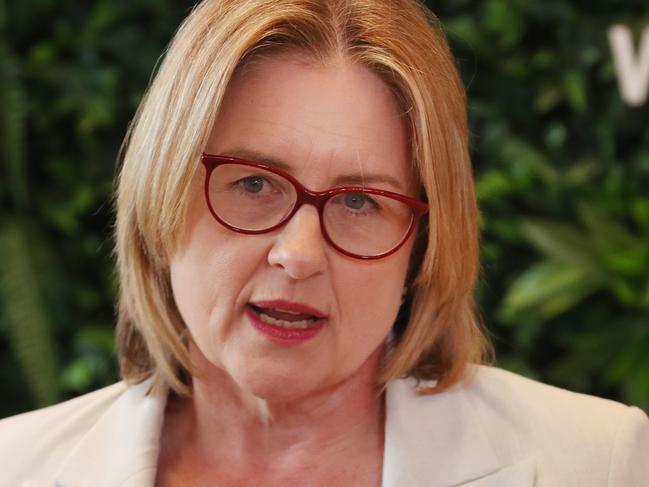 MELBOURNE, AUSTRALIA- NewsWire Photos JANUARY 23, 2025: Victorian Premier Jacinta Allan holds a press conference at a housing development site in Werribee to talk about local road upgrades.  NewsWire/ David Crosling