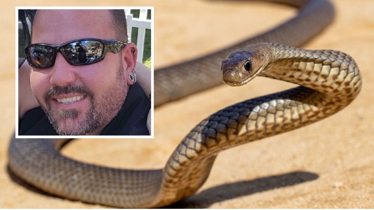 ‘Brave man:’ Tributes after fatal snake bite