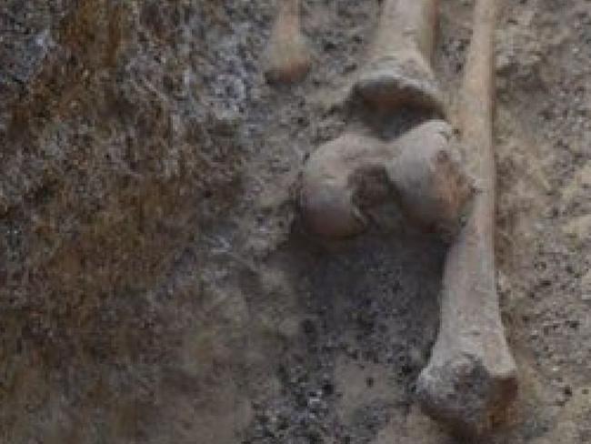 The skeletons were found at Cwm Nash on the Welsh coast. (Cardiff University)