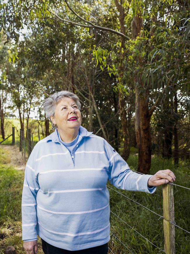 Janette examines some of her mature trees, planted decades ago. Picture: Nicole Cleary