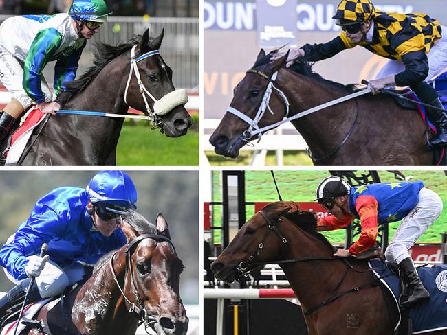 The Everest hopes (clockwise from top left) I Wish I Win, Joliestar, Bella Nipotina and Traffic Warden.