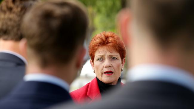 Pauline Hanson addresses the media on Monday. Picture: Mark Calleja