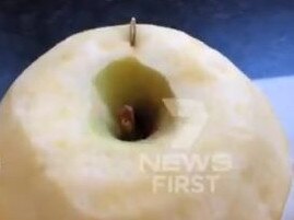 The needle found in the apple. Picture: Supplied/Seven News, Twitter