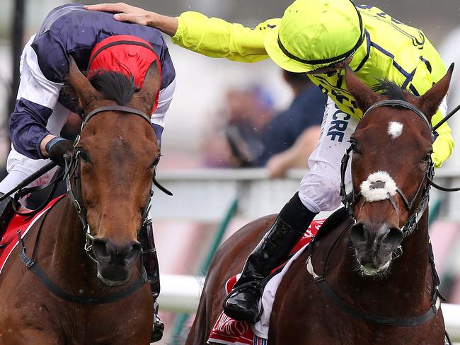 Kerrin McEvoy gets a pat on the back from Joao Moreira after their titanic struggle down the home straight before McEvoy and Almandin reigned supreme. Picture: Michael Klein