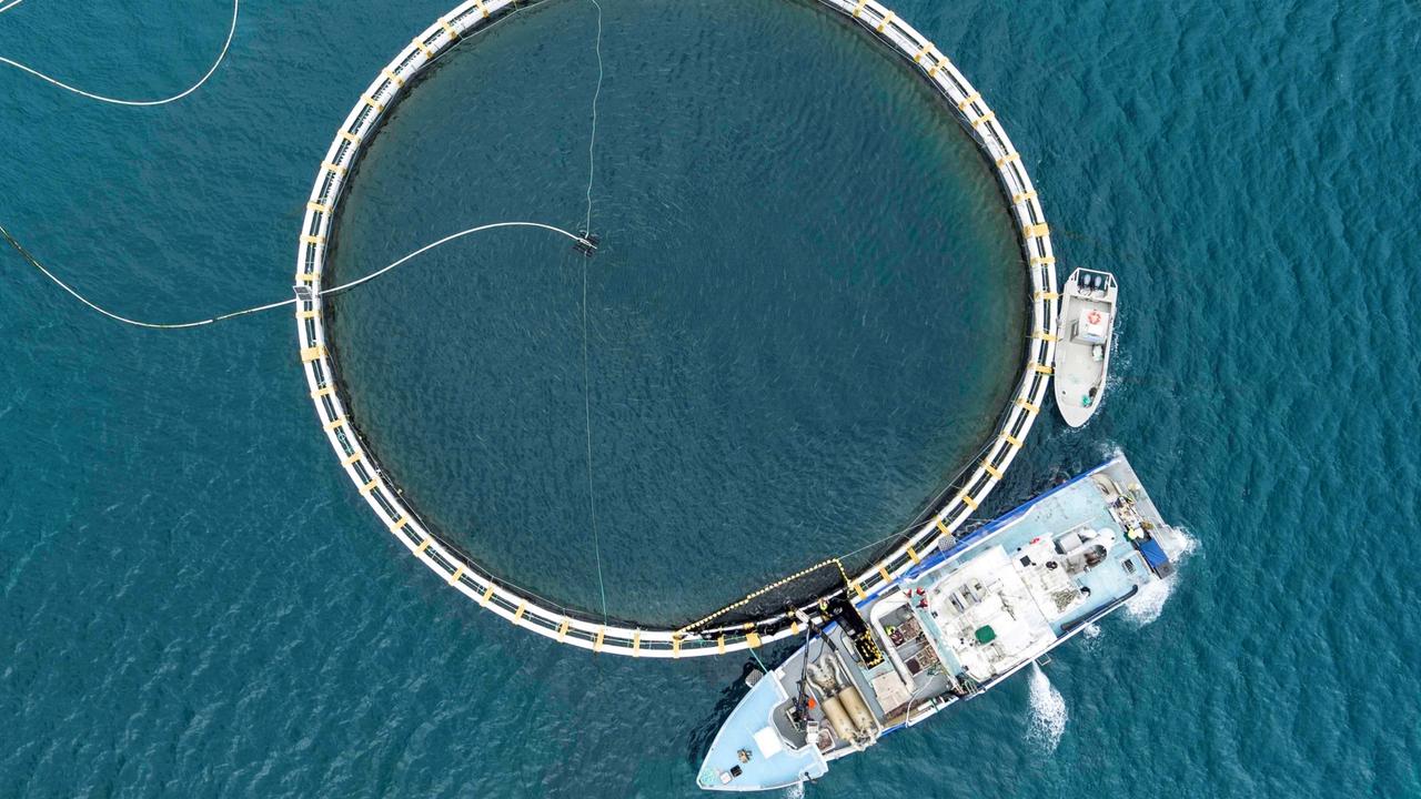 Whyalla: Clean Seas $8m marina plan to boost kingfish farm bid near ...