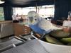 Budgie smuggles self: Escaped bird found on ship 2km offshore